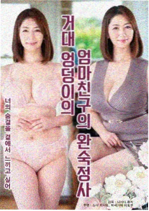 剧集《夜色温柔》